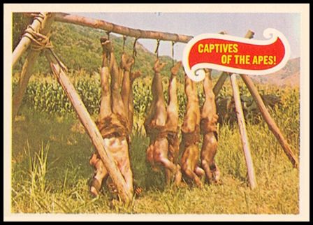 8 Captives Of The Apes